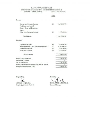 Statement of Revenue and Expenses CY 2020